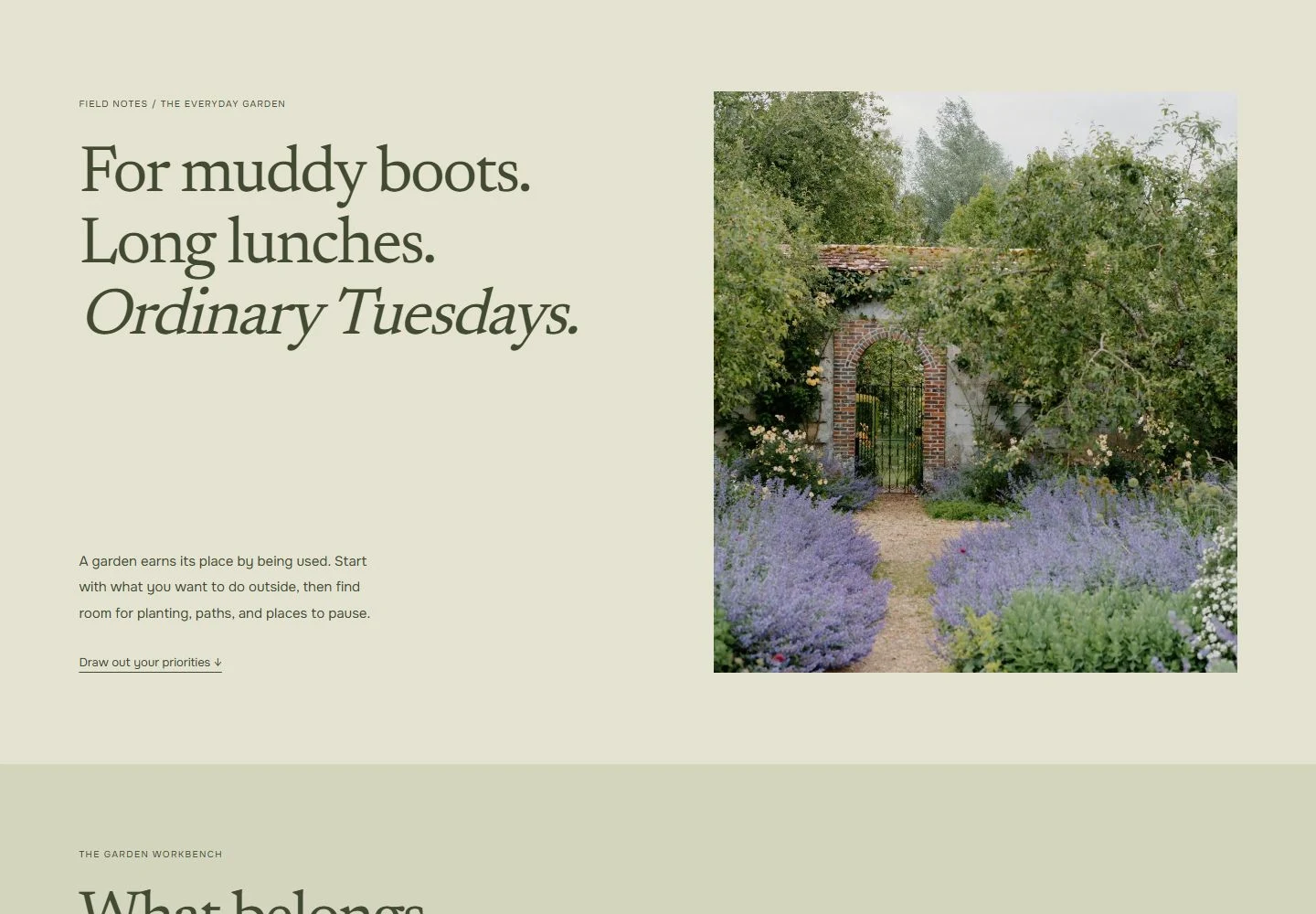 TERRAIN website content and interactive service section